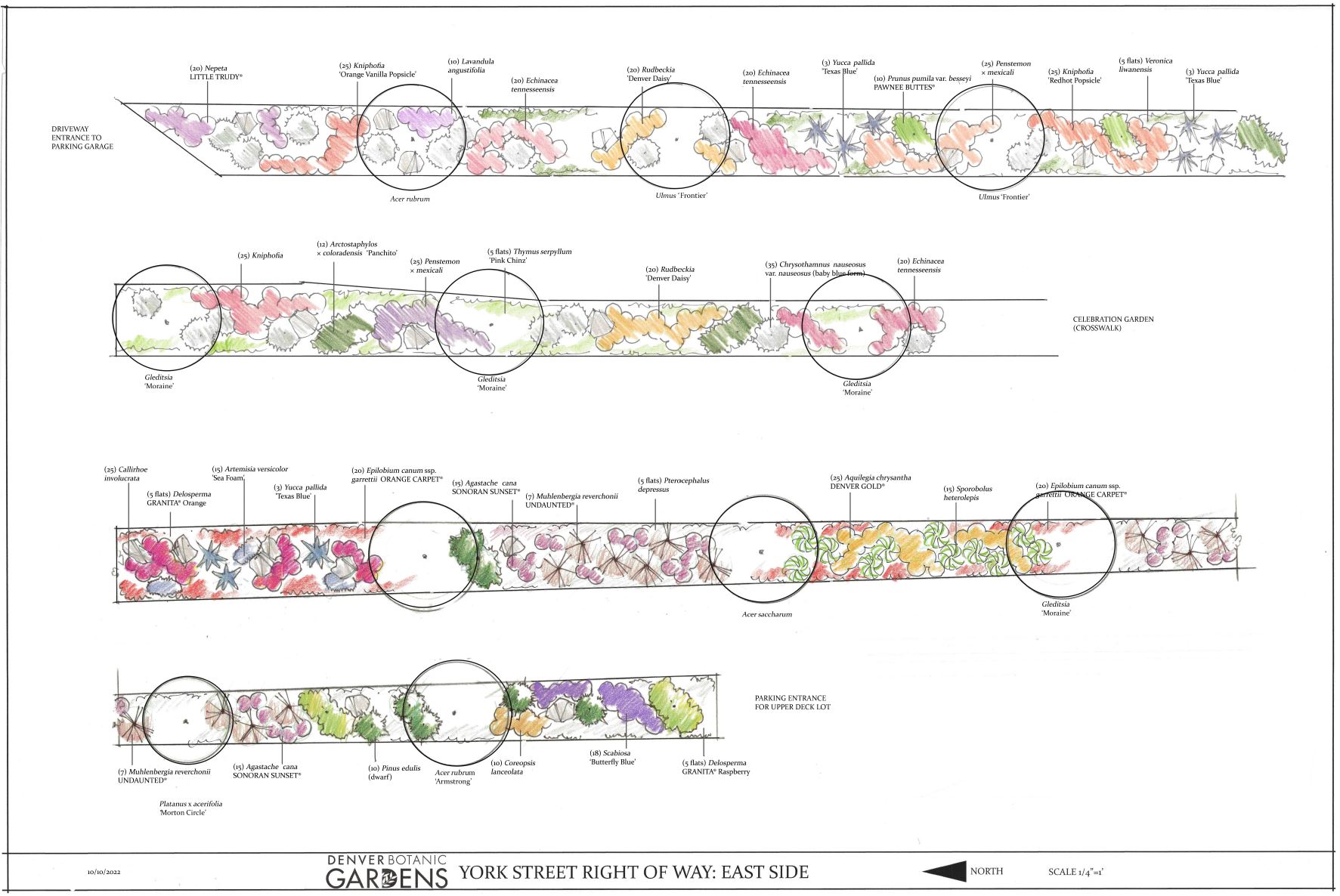 Goodbye thirsty turf! And hello, future stunning, waterwise garden